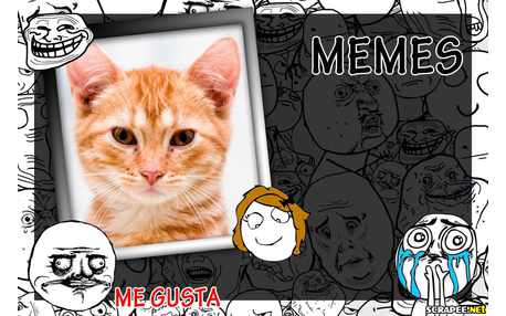 Moldura - Memes