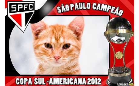 Moldura - Copa Sul Americana 2012