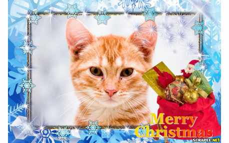 Moldura - Natal De Paz Amor E Saude