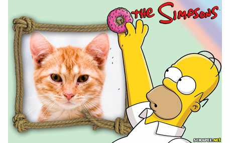 Moldura - Homer Simpson Pai