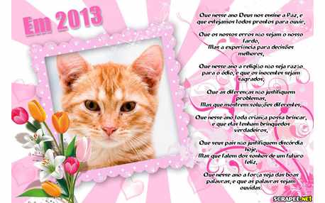 Moldura - Votos Para 2013