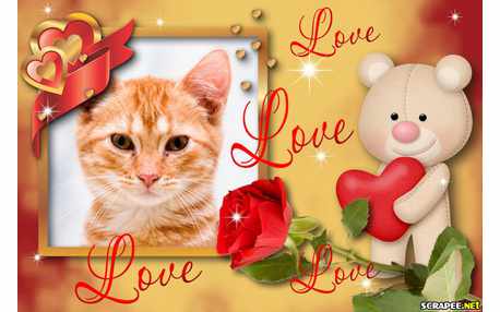 Moldura - Love My Life