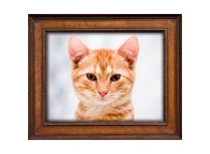 Moldura - Wood Frame