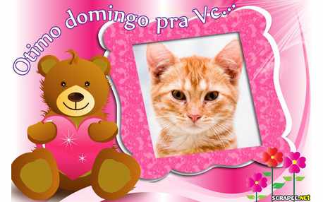 Moldura - Domingo Bear