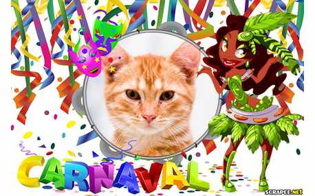 Moldura - Desfile De Carnaval