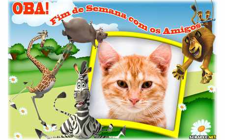 Moldura - Fim De Semana Com Amigos