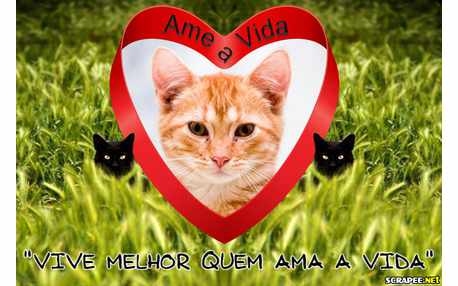 Moldura - Viver Melhor