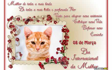 Moldura - Dia Internacional Da Mulher