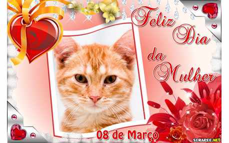 Moldura - Feliz Dia Da Mulher