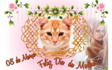 Moldura - 08 De Marco Dia Da Mulher