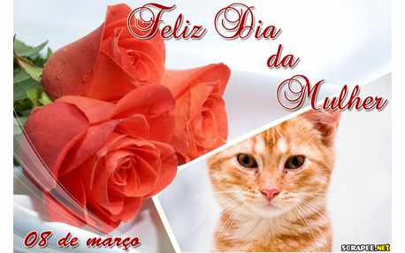 Moldura - Homenagem As Mulheres