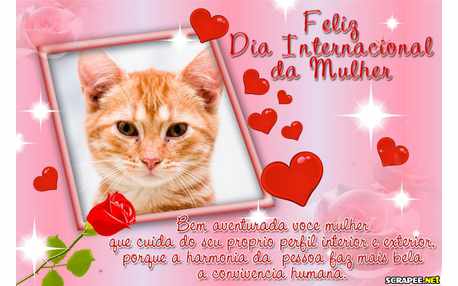 Moldura - Dia Internacional Da Mulher