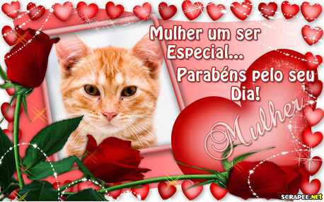 Moldura - Parabens A Todas As Mulheres