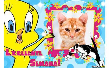 Moldura - Excelente Semana