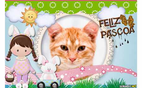 Moldura - Coelhinha Da Pascoa