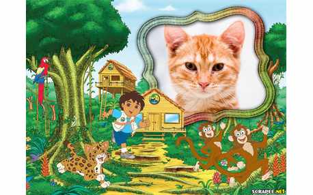 Moldura - Go Diego Go