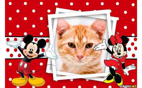 Moldura - Minnie E Mikey
