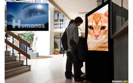 Moldura - Exposicao De Fotos