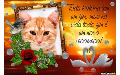 Moldura - Recomeco Ao Por Do Sol