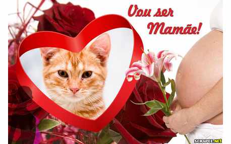 Moldura - Vou Ser Mamae   Gravidez