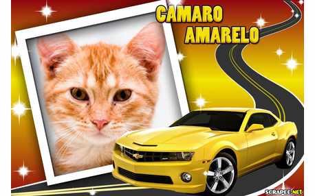 Moldura - Camaro Amarelo