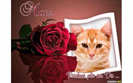 Moldura - Dia Das Maes