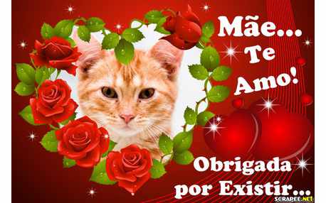 Moldura - Mae Te Amo