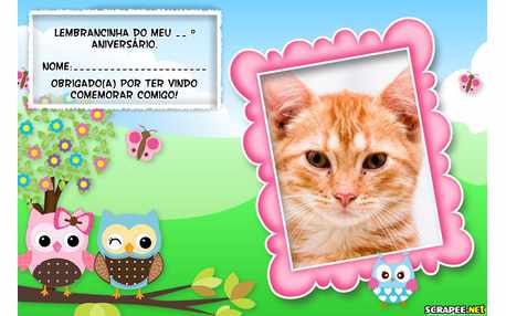 Moldura - Lembrancinha De Aniversario Da Corujinha