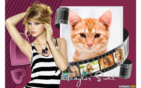 Moldura - Taylor Swift