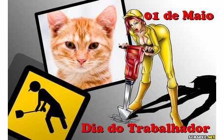 Moldura - 01 De Maio