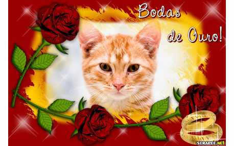 Moldura - Bodas De Ouro