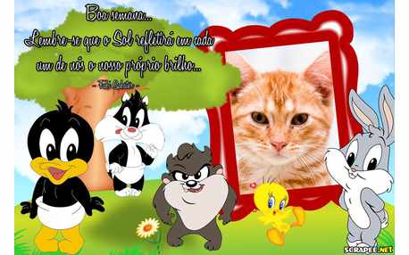 Moldura - Brilho Proprio