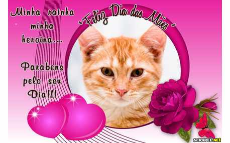 Moldura - Parabens E Dia Das Maes