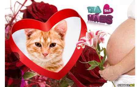 Moldura - Dia Das Maes