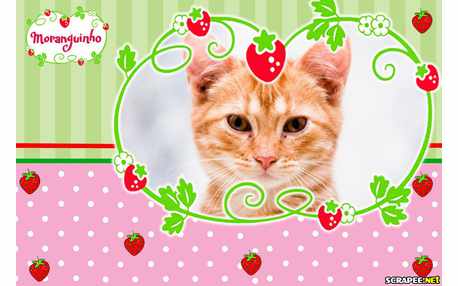 Moldura - Logo Moranguinho