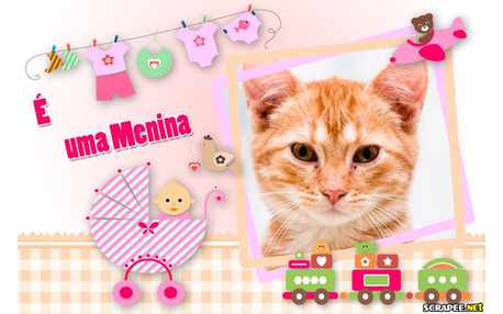 Moldura - Nascimento De Menina