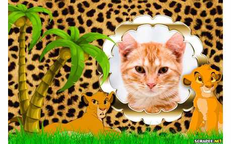 Moldura - Rei Leao Filhote E Sua Mae