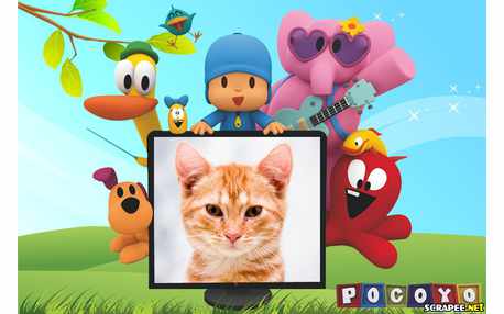 Moldura - Turma Do Pocoyo