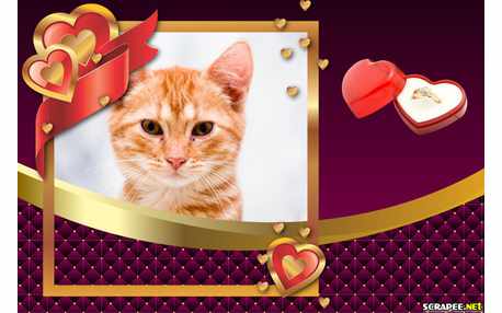 Moldura - Personalizacao De Fotos