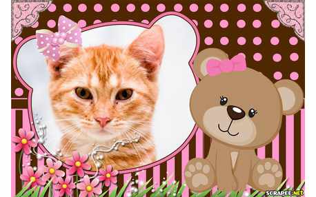 Moldura - Ursinha Marrom E Rosa