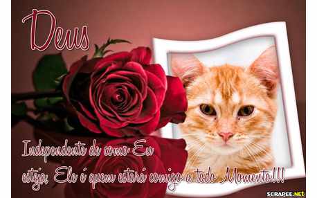 Moldura - Companheiro Para Todo Momento