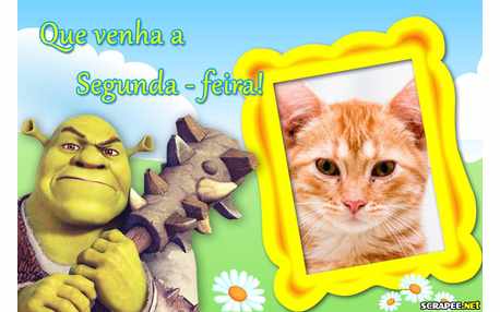 Moldura - Espectativas Para Segunda Feira