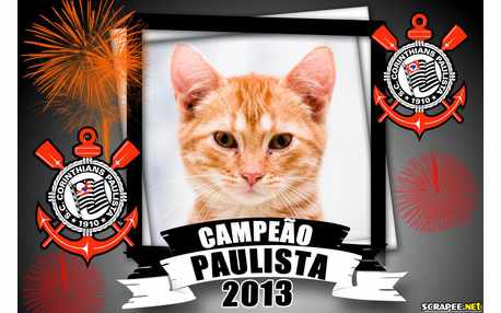 Moldura - Campeao Paulista 2013