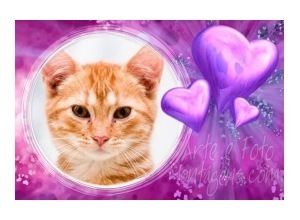 Moldura - Lilas Heart