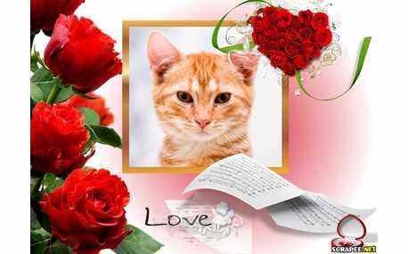 Moldura - Moldura De Amor