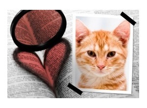 Moldura - Newspaper And Heart