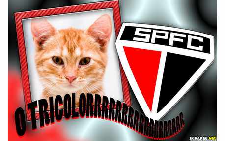 Moldura - Sao Paulo Tricolor