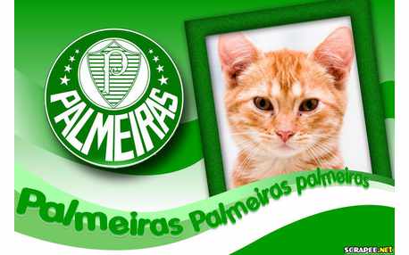Moldura - Time Do Palmeiras