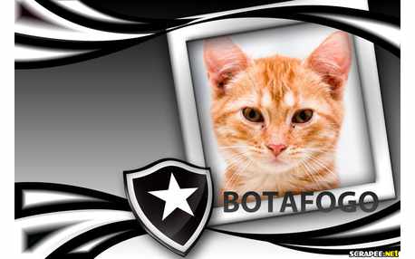 Moldura - Moldura Do Botafogo