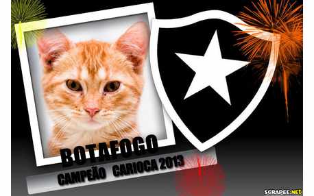 Moldura - Botafogo Campeao Carioca 2013